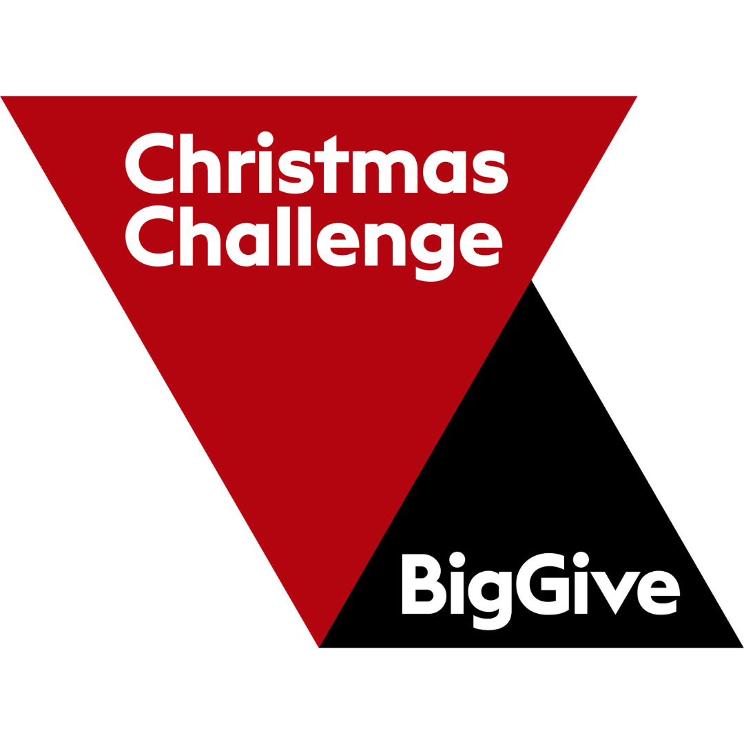 Big Give Christmas Challenge logo